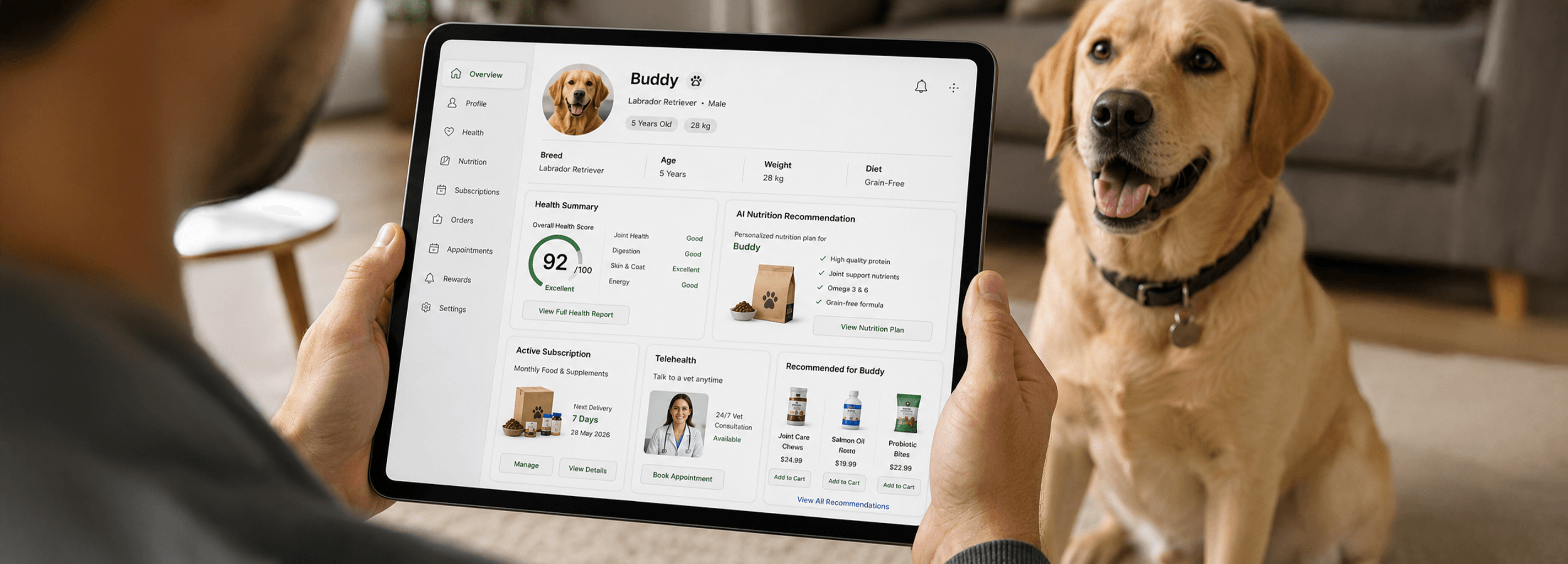 eCommerce Website Development for Pet Care Brands: Know Before You Build