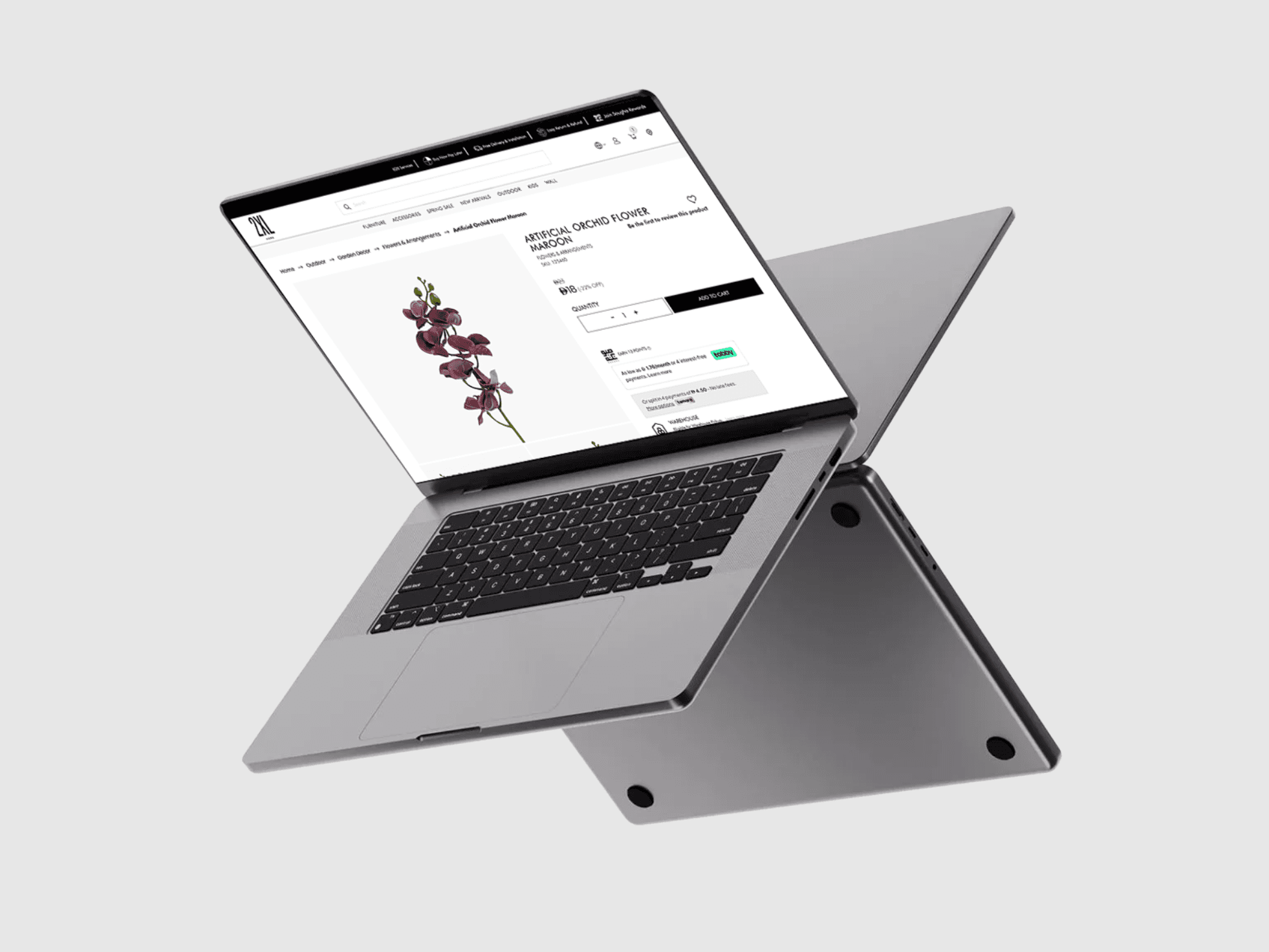 2XL Home Mobile Mockup